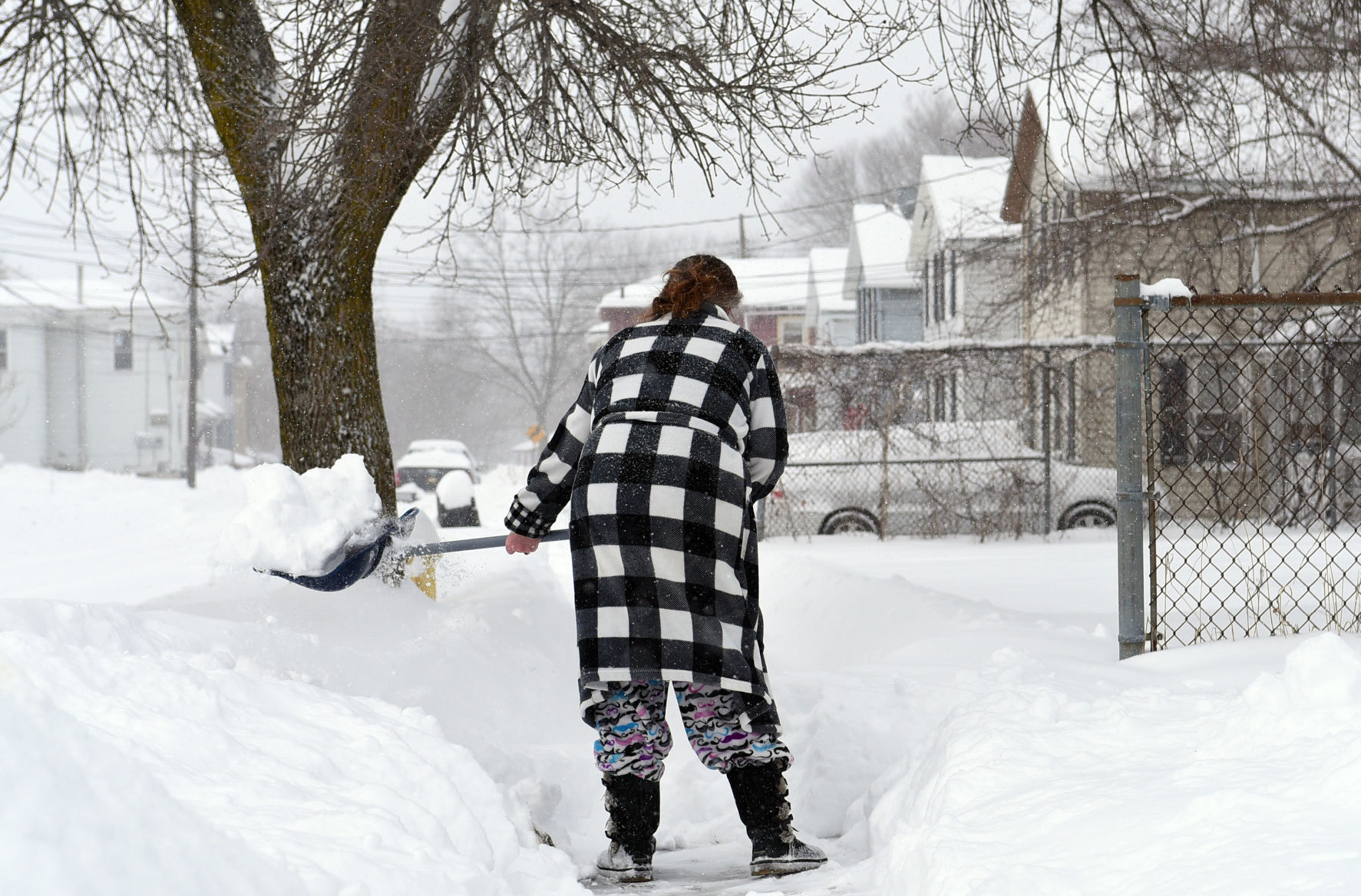 Winter Storm 11.JPG